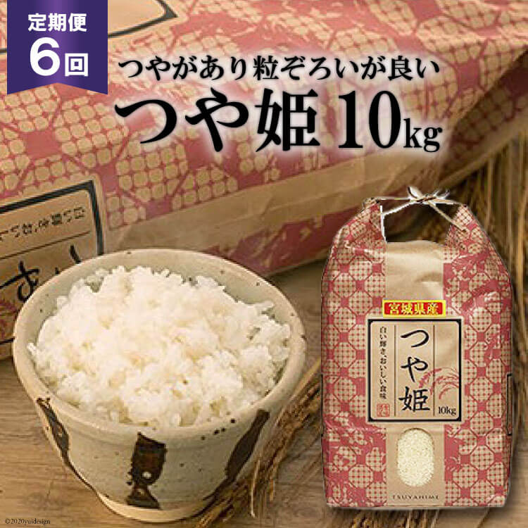 6回 定期便 米 宮城県産 つや姫 10kg ×6回 総計 60kg [菊武商店 宮城県 気仙沼市 20564927] お米 こめ コメ 白米 精米 ブランド米 ご飯 ごはん 小分け 家庭用 6ヶ月