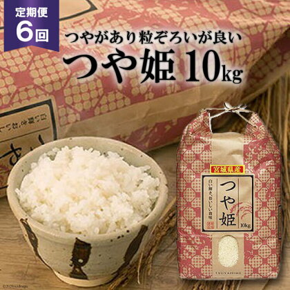 米 6回 定期便 宮城産 つや姫 10kg×6回 総計60kg [菊武商店 宮城県 気仙沼市 20563119] お米 精米 白米 ご飯 ごはん こめ コメ