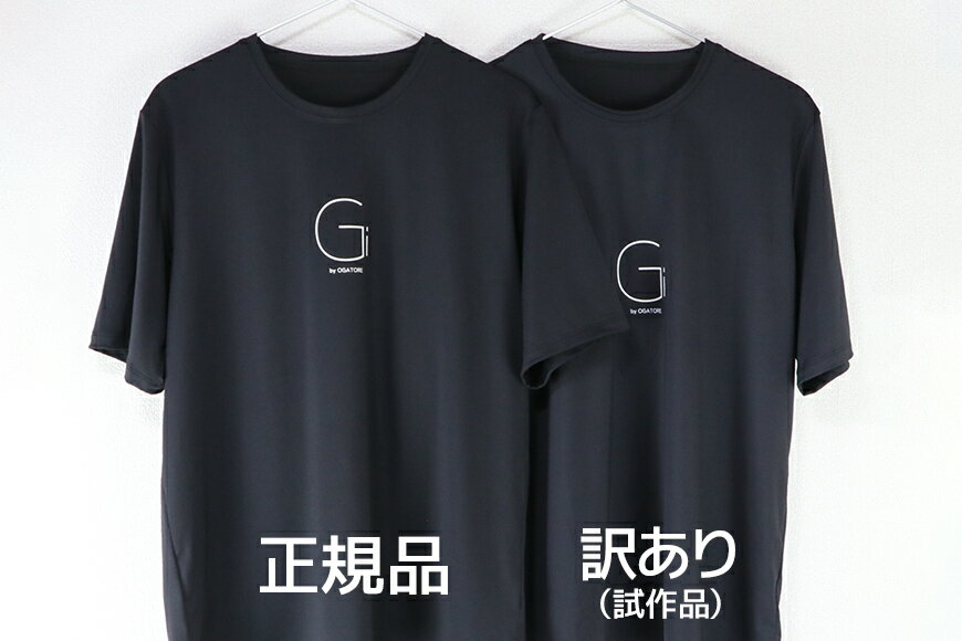 【ふるさと納税】【ストレッチ専用Tシャツ2枚】Gi T-shirt（国産）正規品Sサイズ・訳ありSサイズ＜Gi by OGATORE＞【宮城県気仙沼市】