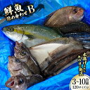 19位! 口コミ数「0件」評価「0」鮮魚 詰め合わせ B 3〜10魚種 120サイズ分 産地直送 旬 魚介 魚 さかな / さんりくみらい / 宮城県 気仙沼市 [205607･･･ 