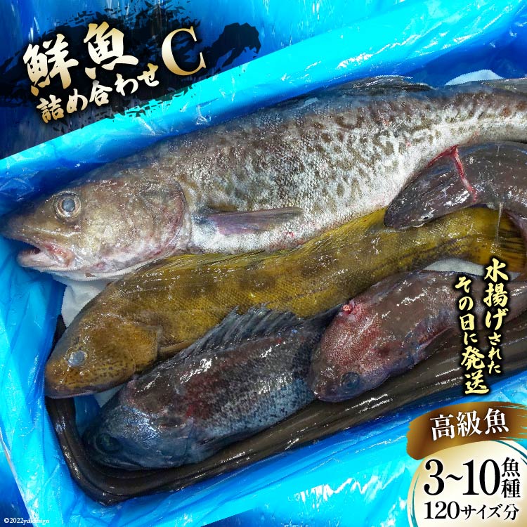 37位! 口コミ数「0件」評価「0」鮮魚 詰め合わせ C 3〜10高級魚種 120サイズ分 産地直送 旬 魚介 魚 さかな / さんりくみらい / 宮城県 気仙沼市 [2056･･･ 