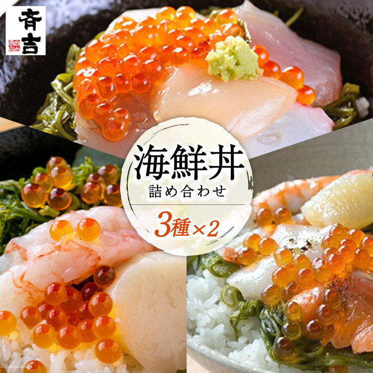 【ふるさと納税】斉吉海鮮丼 3種×2袋 詰め合わせ 食べ比べ