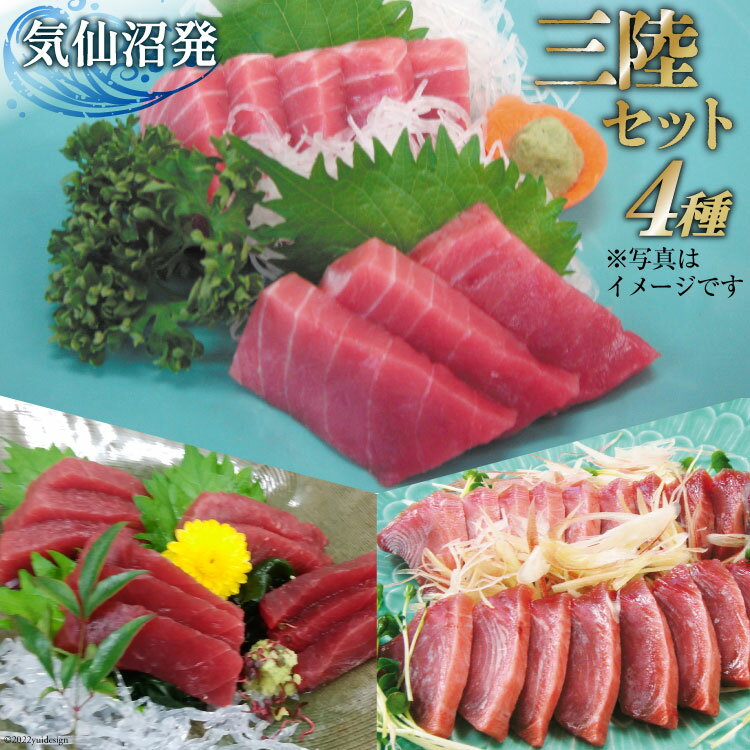 三陸セット 中トロマグロ 150g トロの赤身 150g メバチマグロたたき 200g 特撰トロカツオ 250g 合計750g [村田漁業 宮城県 気仙沼市 20561430] 中トロ トロ 赤身 鮪 まぐろ マグロ ネギトロ ねぎとろ カツオ 鰹 かつお 新鮮 魚 魚介 海鮮