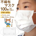 12位! 口コミ数「0件」評価「0」マスク 不織布 女性/子供用 計100枚(10枚入×10袋) ホヤぼーや [気仙沼市物産振興協会 宮城県 気仙沼市 20562258]