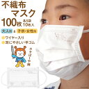 25位! 口コミ数「0件」評価「0」マスク 不織布 大人用&女性/子供用 計100枚(10枚入×各5袋) ホヤぼーや [気仙沼市物産振興協会 宮城県 気仙沼市 20562260･･･ 