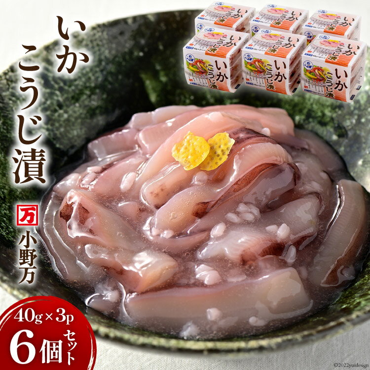 小野万 いかこうじ漬 40g×3P 6個セット 【ご飯のお供に、酒の肴に】 [小野万 宮城県 気仙沼市 20562535]