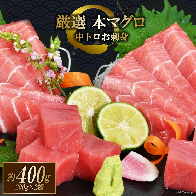 まぐろ 本マグロ背トロ 約400g(200g×2柵) 中トロ 刺身 冷凍 [豊洋海産流通 宮城県 気仙沼市 20562453]