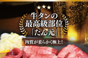 【ふるさと納税】大人気！ 牛タン 厚切り牛タン塩味 500g [モ～ランド本吉 宮城県 気仙沼市 20562921-R] 焼肉 牛肉 精肉 牛たん 牛タン塩 牛たん塩 冷凍 BBQ アウトドア バーベキュー 厚切り タン 牛タン