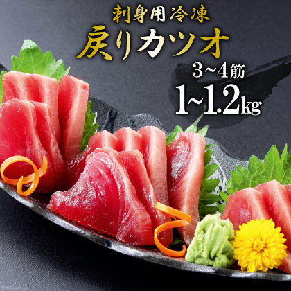 【TVで紹介！】刺身用冷凍戻りカツオ　1kg～1.2kg [阿部長商店 宮城県 気仙沼市 20562619]