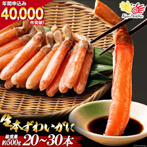 【ふるさと納税】生本ずわいがに 棒肉 20～30本入 総重量 約500g / 老舗カニ卸業者から直送 / 宮城県 気仙沼市 ( カニ ずわいがに ズワイガニ ずわい蟹 ズワイ蟹 蟹 カニ カニ脚 蟹脚 カニ棒肉 カニ 生 蟹 ポーション カニしゃぶ )