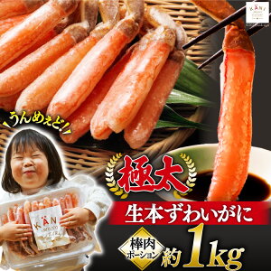 【ふるさと納税】極太 生本ずわいがに 棒肉ポーション 約1kg 30本～40本入り 殻剥き不要 ! 脚肉のみ ! / かに物語 カネダイ / 宮城県 気仙沼市 ( カニ ずわいがに ズワイガニ ずわい蟹 ズワイ蟹 蟹 カニ カニ脚 蟹脚 カニ棒肉 カニ 生 蟹 ポーション カニしゃぶ )