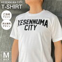 2位! 口コミ数「0件」評価「0」Tシャツ 気仙沼 KESENNUMA CITY Tシャツ Mサイズ ホワイト 1枚 ご当地Tシャツ メンズ レディス 半袖 お土産 / 愛隣･･･ 