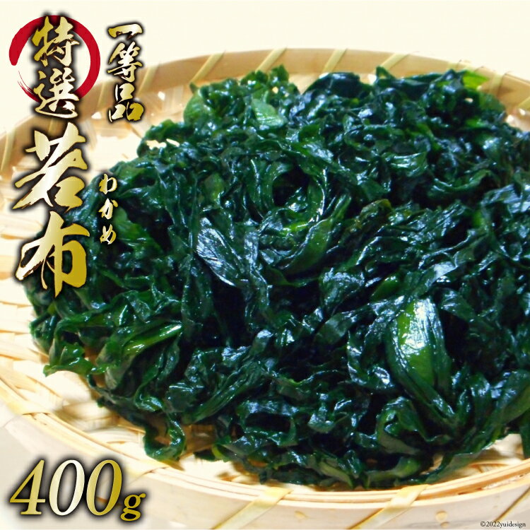 [外抜一等品] 三陸産 特撰若布 400g [大菊 宮城県 気仙沼市 20563169] ワカメ わかめ 塩蔵 冷蔵 一等品