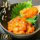 【ふるさと納税】三陸産 潮うに 100g [大菊 宮城県 気...