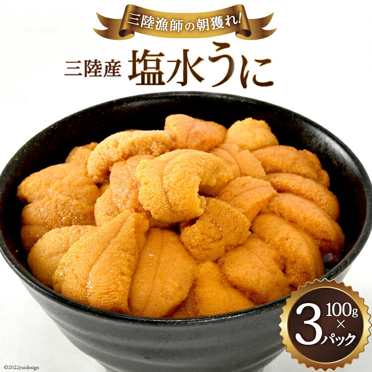 【ふるさと納税】＜先行予約＞三陸産塩水うに 100g×3パック うに 塩水 ウニ 雲丹 冷蔵 期間限定 数量限定 / 村東商店 / 宮城県 気仙沼市 [20561557]