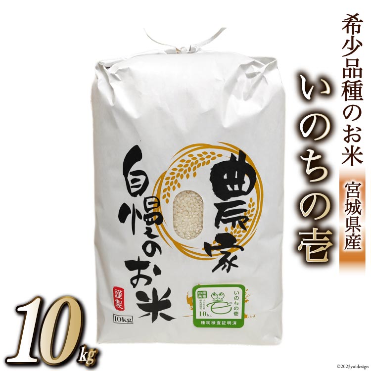 【ふるさと納税】米 いのちの壱 10kg / ティエスサービ