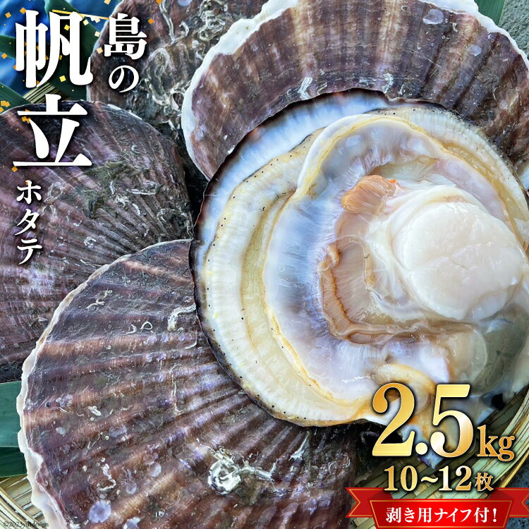 生産者支援 島の帆立 2.5kg (10～12枚) ホタテ剥き用ナイフ付  期間限定 冷蔵 ホタテ ほたて 帆立 濃厚 肉厚 新鮮 殻付き 大粒 大玉 生食用 刺身 バター焼き 魚介類 海鮮 支援 応援