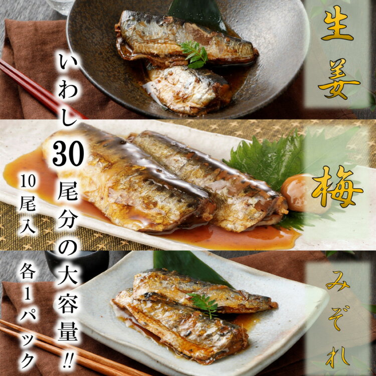 【ふるさと納税】訳あり 業務用 いわし煮魚 3種×10尾 計30尾入 約1.4kg 簡易包装 [カネダイ 宮城県 気仙沼市 20562811] いわし 生姜煮 梅肉煮 みぞれ煮 イワシ 国産 冷凍 訳アリ 鰯 海鮮 魚 冷凍 おかず 焼き魚 家族 食べ比べ 本格的 簡単 時短 高級 魚介類 海鮮 支援