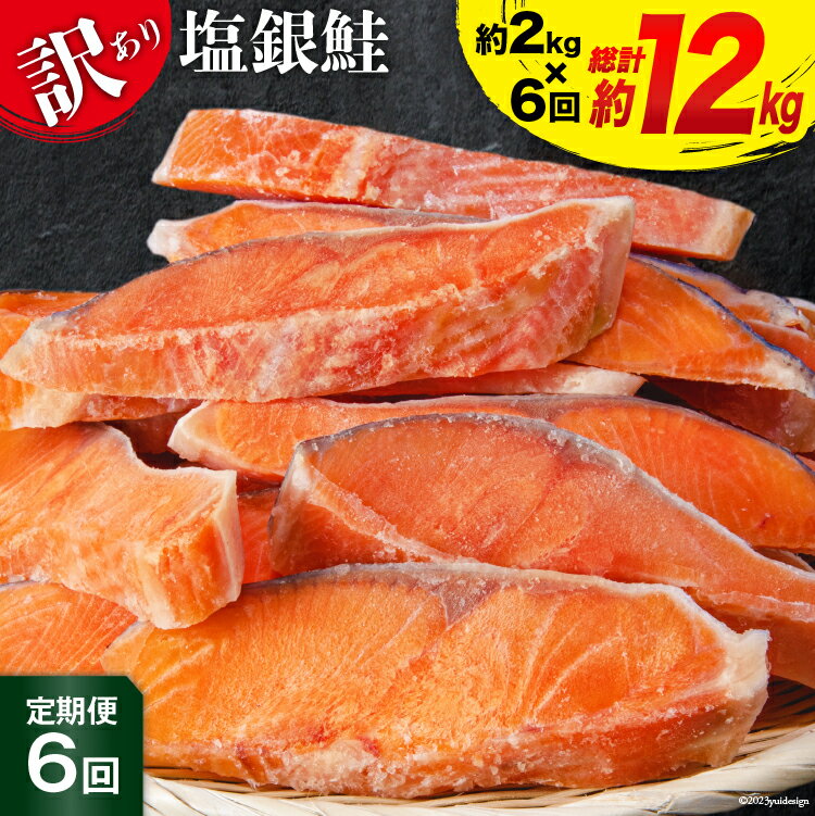 【ふるさと納税】定期便 《6ヶ月連続お届け》 訳あり 銀鮭 切身 約2kg×6回 計12kg [宮城東洋 宮城県 気仙沼市 20562754] 鮭 海鮮 規格外 不揃い さけ サケ 鮭切身 シャケ 切り身 冷凍 家庭用 訳アリ おかず 弁当 支援 事業者支援