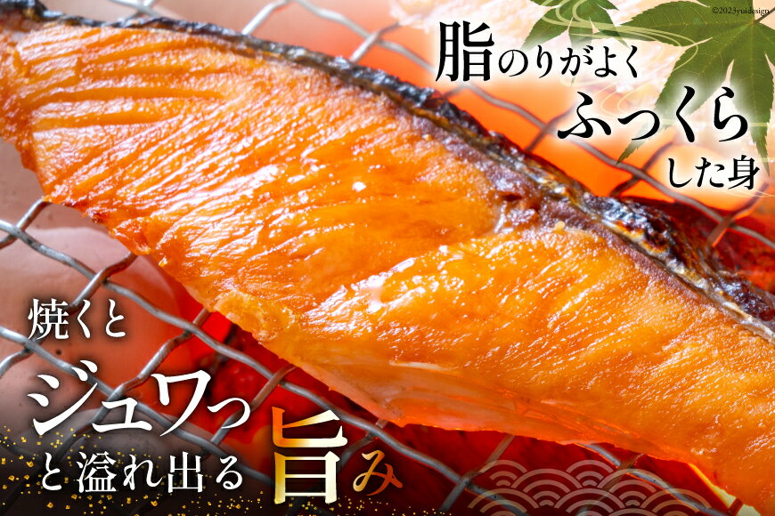 【ふるさと納税】定期便 《6ヶ月連続お届け》 訳あり 銀鮭 切身 約2kg×6回 計12kg [宮城東洋 宮城県 気仙沼市 20562754] 鮭 海鮮 規格外 不揃い さけ サケ 鮭切身 シャケ 切り身 冷凍 家庭用 訳アリ おかず 弁当 支援 事業者支援