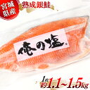 熟成 銀鮭 宮城県産 定塩フィーレ 1枚 約1.1～1.5kg  鮭 国産 海鮮 さけ サケ シャケ 冷凍 業務用 おかず 弁当 俺の塩 支援 事業者支援 サーモン