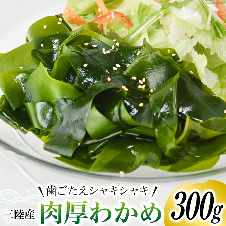 13位! 口コミ数「0件」評価「0」三陸産 肉厚 わかめ 300g / 川村海産 / 宮城県 気仙沼市 [20561966] 海産物 ワカメ 若芽 国産 塩蔵 サラダ 酢の物 ･･･ 