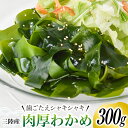 三陸産 肉厚 わかめ 300g / 川村海産 / 宮城県 気仙沼市  海産物 ワカメ 若芽 国産 塩蔵 サラダ 酢の物 常温 海藻