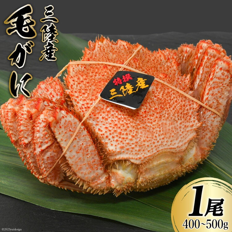 三陸産 毛蟹 総重量400～500g （正味重量 300～400g）1尾 濃厚かに味噌 [かわむら家 宮城県 気仙沼市 20562139] 国産 かに カニ 蟹 毛ガニ 毛がに 毛蟹 三陸 三陸毛ガニ 三陸毛がに 三陸毛蟹 ボイル 冷凍 かにみそ カニ味噌 海鮮 海産物 魚介類 甲殻類