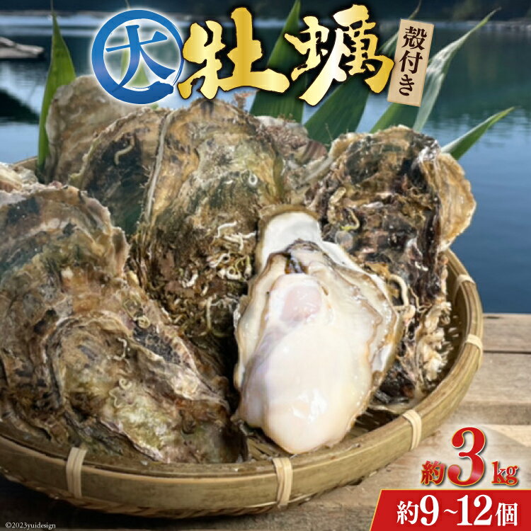 【ふるさと納税】【TVで紹介！】 牡蠣 大粒 3～4年モノ 生食 殻付き牡蠣 約3kg(約9-12個入) [住喜水産 宮城県 気仙沼市 20562174] 期間限定 冷蔵 新鮮 濃厚 真牡蠣 カキ かき 生牡蠣 魚貝類 生牡蠣 貝 海鮮 魚介類 なべ カキフライ 牡蠣ご飯 魚介