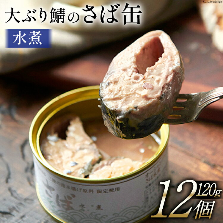 大ぶり鯖のさば缶 12缶セット 水煮 [モンマルシェ 宮城県 気仙沼市 20562833] 保存食 さば缶 サバ 鯖 缶詰 缶詰め さば味噌煮 サバ味噌煮 簡単調理 三陸