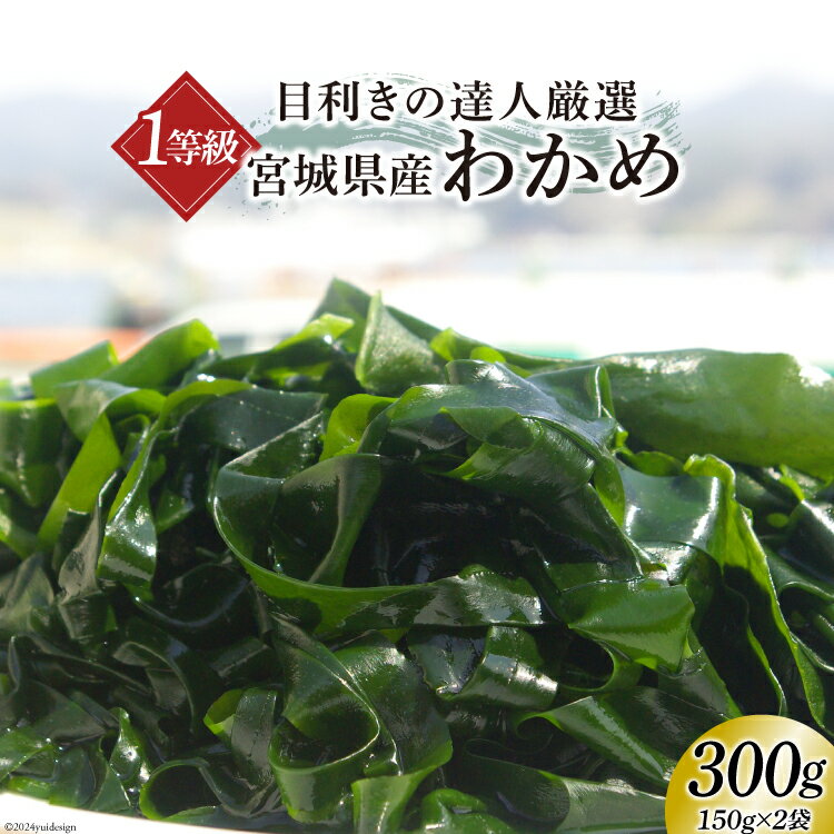 1等級 塩蔵 肉厚 わかめ 150g×2 [阿部長商店 宮城県 気仙沼市 20563223] ワカメ 若芽 三陸 刺身 サラダ 味噌汁 シャキシャキ