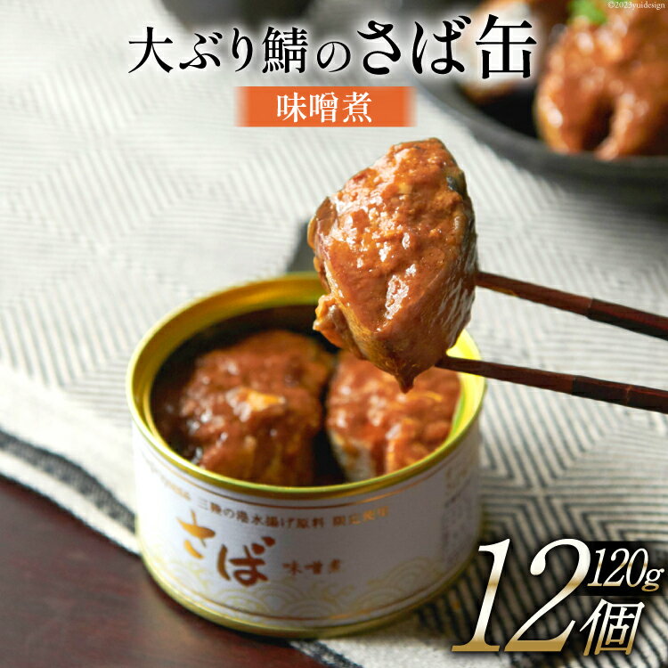 17位! 口コミ数「0件」評価「0」大ぶり鯖のさば缶 12缶セット 味噌煮 [ モンマルシェ 宮城県 気仙沼市 20562826] 保存食 さば缶 サバ 鯖 缶詰 缶詰め さば･･･ 