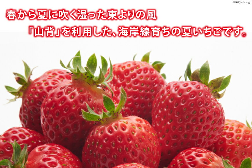 【ふるさと納税】訳あり 冷凍 夏いちご すずあかね 約1kg [水山養殖場 宮城県 気仙沼市 20564004] 果物 イチゴ いちご 苺 簡易包装 フルーツ