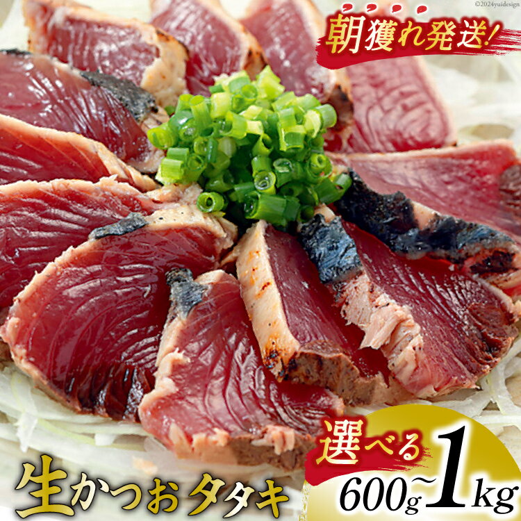 朝獲れ 産地直送 冷蔵便 生かつおタタキ【選べる内容量】600g / 1kg タレ付 真空パック [阿部長商店 宮城県 気仙沼市] 冷蔵 鮮魚 魚 かつお カツオ 鰹 刺身 冷蔵 期間限定 季節限定 カツオタタキ かつおタタキ 支援