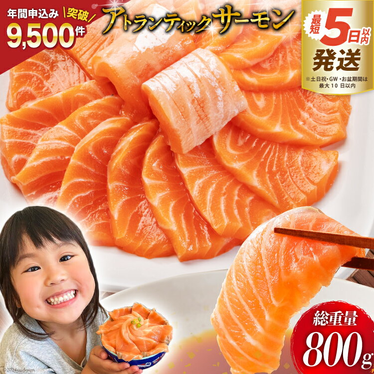 【ふるさと納税】※最短5日以内発送※ ノルウェー産 アトランティックサーモン 総重量800g(正味重量680g...