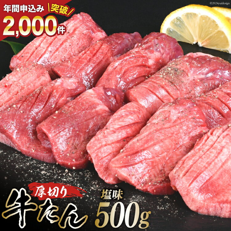 【ふるさと納税】厚切り牛タン 塩味 500g [亀山精肉店 