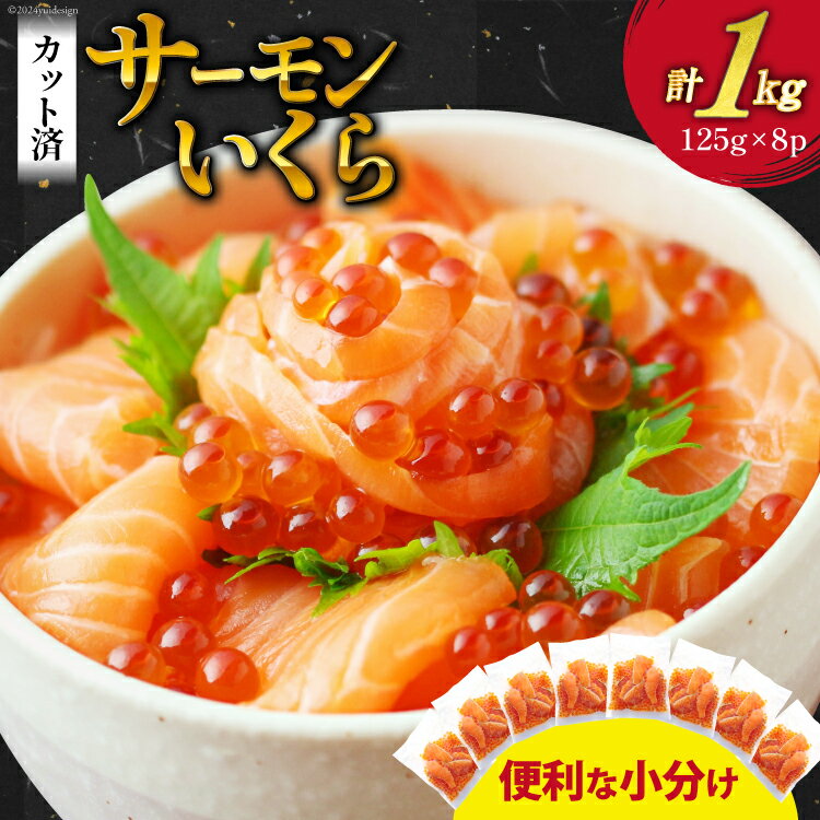 サーモン いくら 丼 セット カット済み 個包装 125g×8p 合計1kg [足利本店 宮城県 気仙沼市 20563104] 鮭いくら 刺身 イクラ いくら醤油漬け 寿司 鮭 手軽 生食用 調理不要