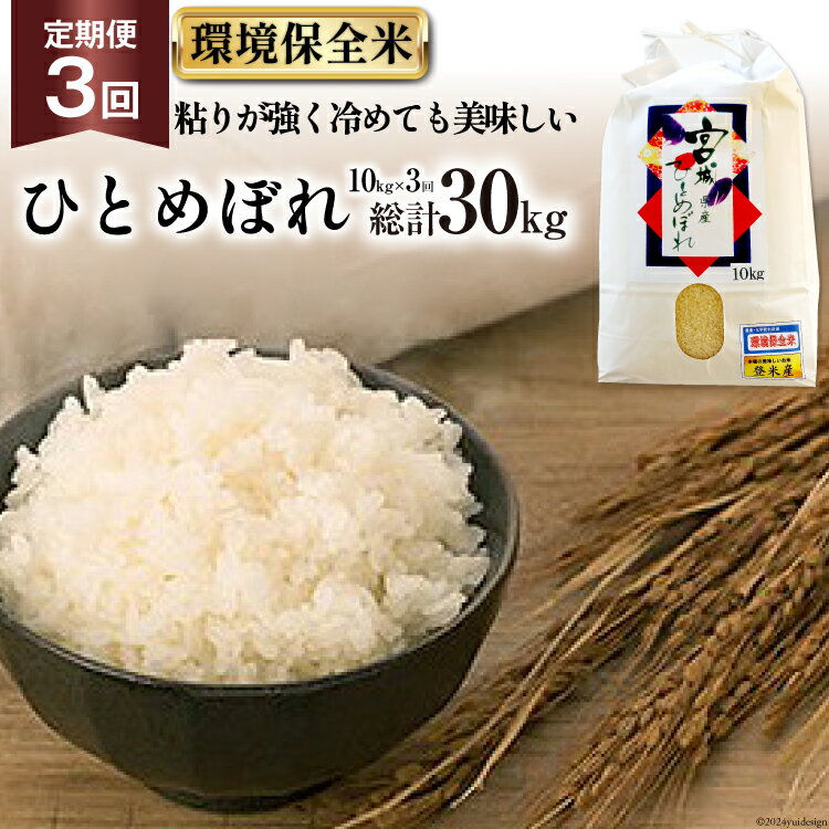 【ふるさと納税】米 3回 定期便 宮城産 ひとめぼれ 環境保