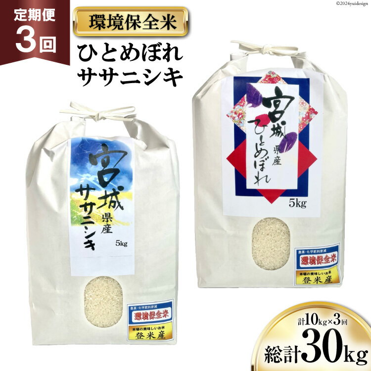 楽天宮城県気仙沼市【ふるさと納税】米 3回 定期便 宮城産 ササニシキ & ひとめぼれ 環境保全米セット 各5kg 計10kg×3回 総計30kg [菊武商店 宮城県 気仙沼市 20563112] お米 精米 白米 ご飯 ごはん こめ コメ