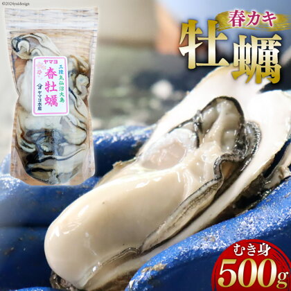 牡蠣 生食用 むき身 500g 《5月前半～出荷》 春 かき 期間限定 冷蔵 ヤマヨ水産 [気仙沼市物産振興協会 宮城県 気仙沼市 20563124]