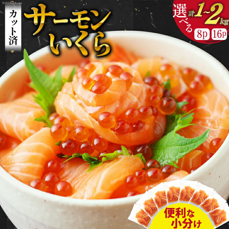 【ふるさと納税】【選べる内容量】サーモン いくら 丼 セット カット済み 個包装 125g 計1kg（8p入）／計2kg（16p入）[足利本店 宮城県 気仙沼市] 鮭いくら 刺身 イクラ いくら醤油漬け 寿司 鮭 手軽 生食用 調理不要のサムネイル