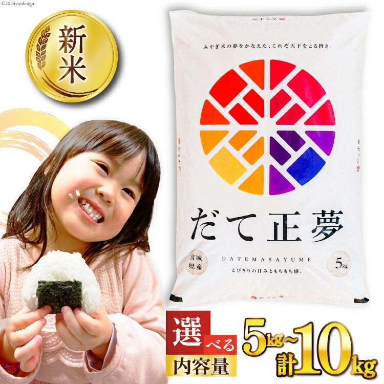 【ふるさと納税】米 だて正夢 10kg(5kg×2袋) / 気仙沼米穀商業協同組合 / 宮城県 気仙沼市 [20561650] 一等米 ブランド米 白米 精米 ご飯 ごはん コメ こめ 小分け 家庭用 宮城のサムネイル