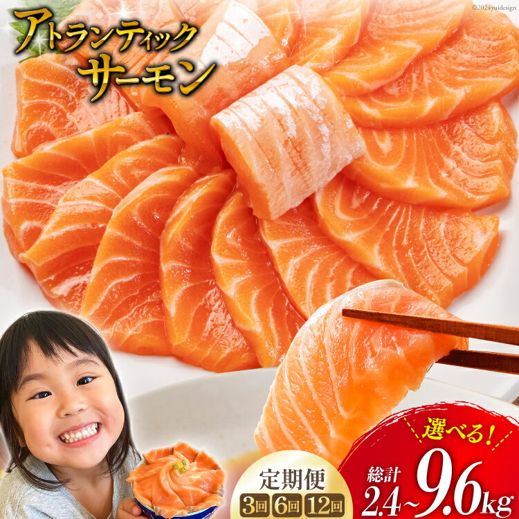 【選べる発送回数】ノルウェー産 アトランティックサーモン 【総重量800g×3回・6回・12回】 [カネダイ 宮城県 気仙沼市] 魚 魚介類 サーモン 刺身 小分け 鮭