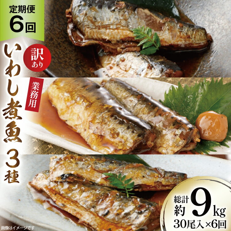 【ふるさと納税】 6回 定期便 訳あり 業務用 いわし煮魚 3種 ×10尾 計30尾入 約1.5kg ×6回 総重量 約9kg [カネダイ 宮城県 気仙沼市 2...