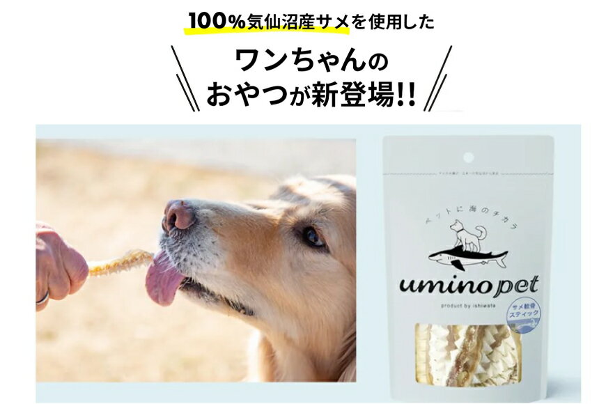 サンプル画像2