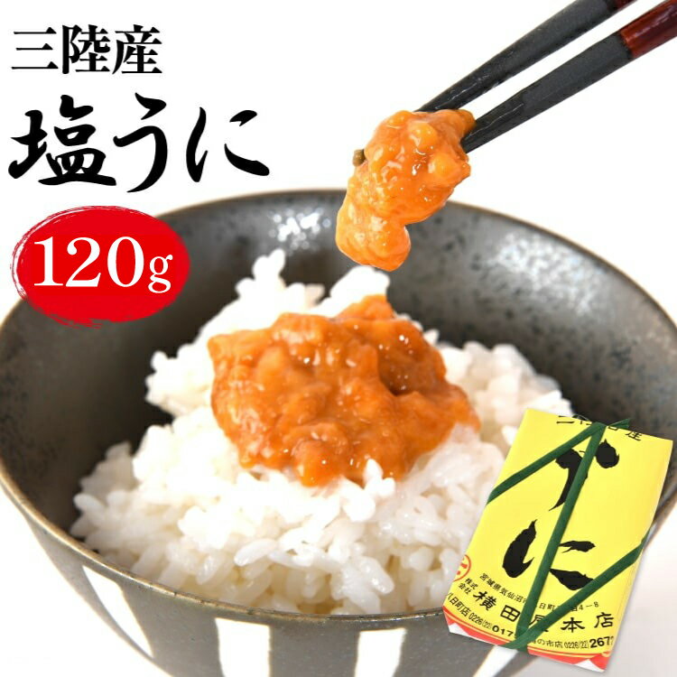 [100年以上のロングセラー] うに 三陸産 塩うに 約120g [横田屋本店 宮城県 気仙沼市 20565816] ウニ 海鮮 雲丹 ご飯のお供 おつまみ 冷凍