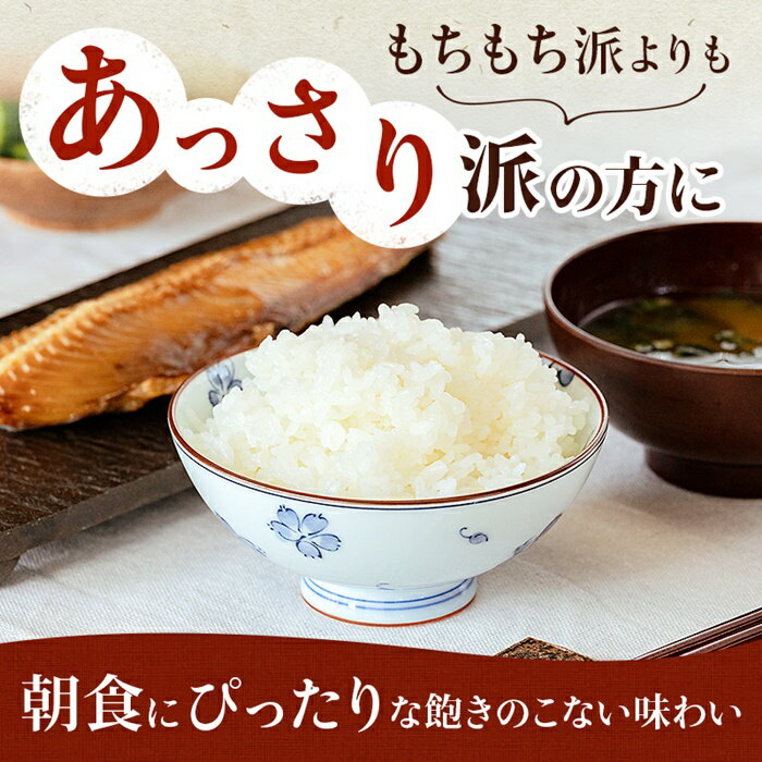 【ふるさと納税】 令和4年産 宮城県白石産 ササニシキ玄米 30kg 30キロ 30キロ 30kg お米 米 特別栽培米 定期 ササニシキ 玄米 あっさり 素朴な味わい 宮城米 ふるさと納税 宮城県 白石市 白石【06159】