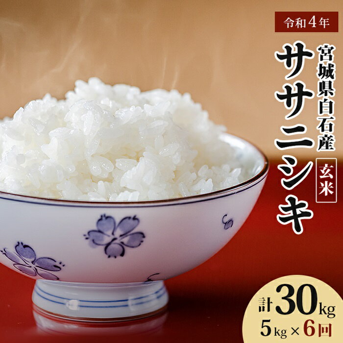 [定期便:6回] 令和4年産 宮城県白石産 ササニシキ玄米 5kg 5キロ 5キロ 5kg お米 米 特別栽培米 定期便 定期 ササニシキ 玄米 あっさり 素朴な味わい 宮城米 ふるさと納税 宮城県 白石市 白石[06153]