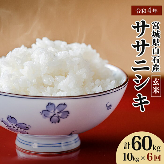 [定期便:6回] 令和4年産 宮城県白石産 ササニシキ玄米 10kg 10キロ 10キロ 10kg お米 米 特別栽培米 定期便 定期 ササニシキ 玄米 あっさり 素朴な味わい 宮城米 ふるさと納税 宮城県 白石市 白石[06157]