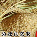 【ふるさと納税】【令和元年産】景綱米(ひとめぼれ)玄米 10...
